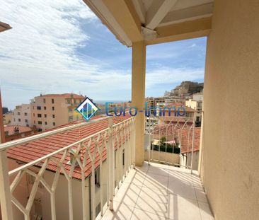 Location Appartement 1 pièce 23m² BEAUSOLEIL 06240 - Photo 4