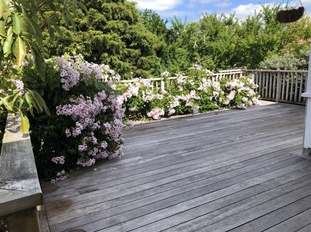 Family Home Three Bedrooms Meadowbank - Photo 2