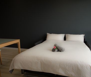 1 pièce - Meublé - 25 m² - 2ème étage - Colocation non autorisée - Photo 3