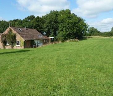 Black Dog, Crediton - Photo 5