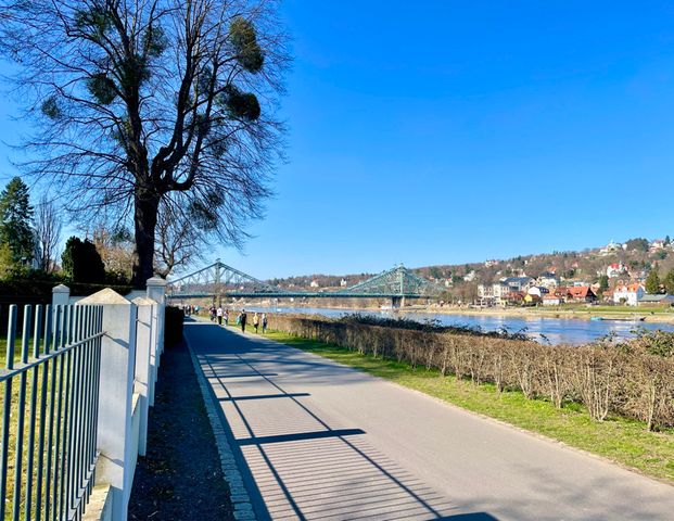 Gemütliche 1-Zimmer-Wohnung direkt an der Elbe mit EBK - Foto 1