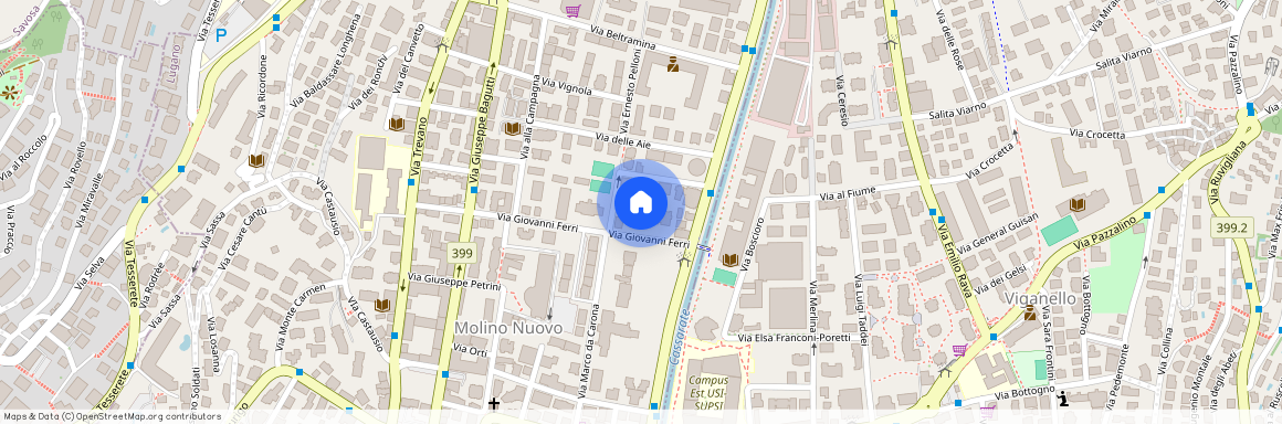 Via Giovanni Ferri 25, 6900 Lugano