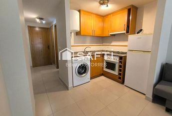 Campello, Valencian Community 03560