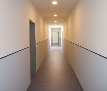 Ein Katzensprung zur HTW Dresden - Appartment nahe dem Hauptbahnhof - Photo 4