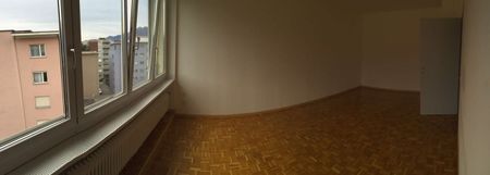 LOCARNO, LUMINOUS 3 1/2-ROOM APARTMENT FOR RENT - Photo 3