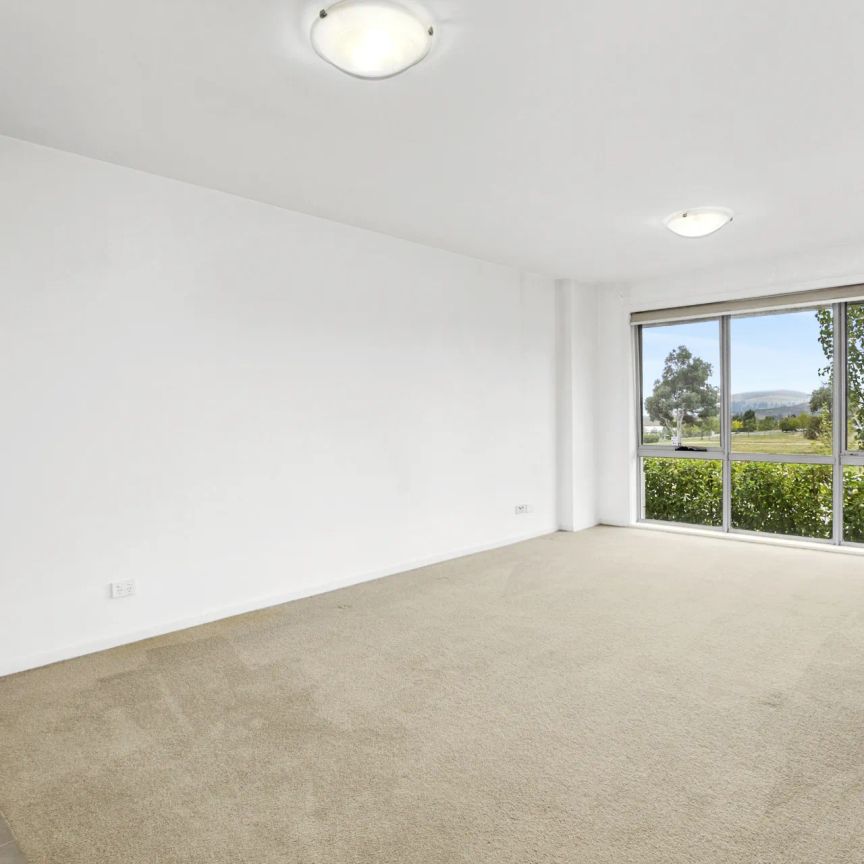 Unit 87/41 Philip Hodgins Street, Wright. - Photo 1