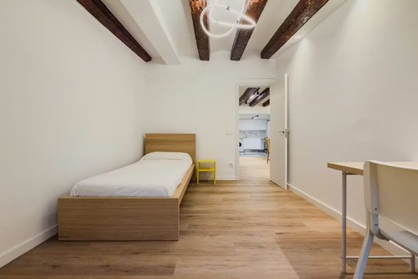 Carrer de la Portaferrissa, Barcelona, Catalonia 08002 - Photo 1