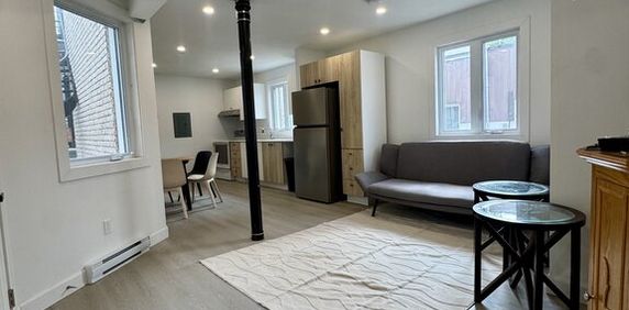 Pointe St-Charles - Nice 5 1/2 Furnished - Photo 2