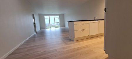 Stort og skønt rækkehus tæt på skov og å - Photo 3