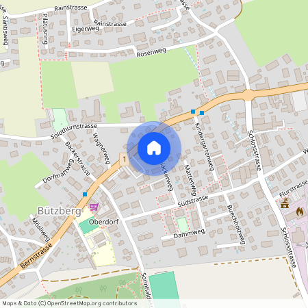 Buchiackerweg 2, 4922, Bützberg