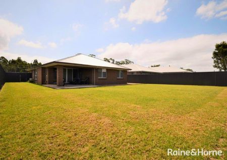 Beauty On Bowerbird - Photo 3