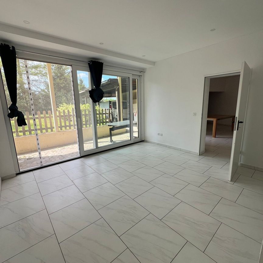2 Zimmer, EG - Photo 1