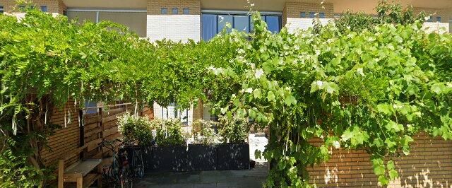 House Dordrecht - Buitenrust - Foto 1