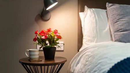 2 Bedroom Apartment (Large) - Photo 5