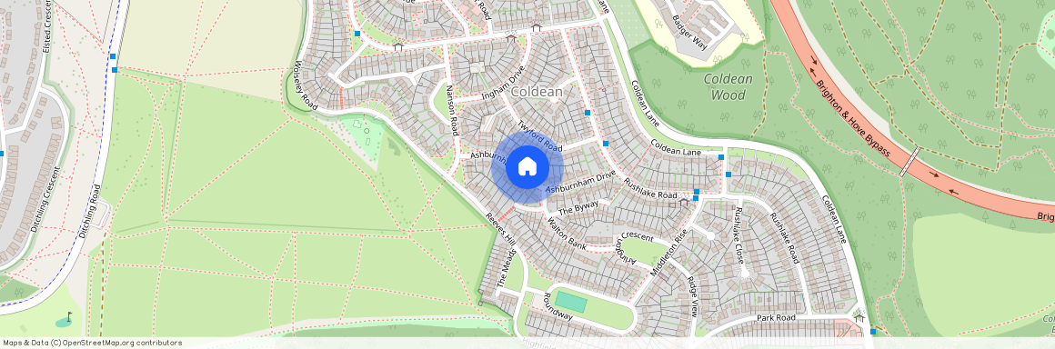 Ashburnham Drive, Brighton BN1 9AX, UK, Brighton BN1 9AX, United Kingdom