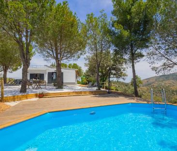 Calle El Salvador, Málaga, Andalusia 29017 - Photo 6