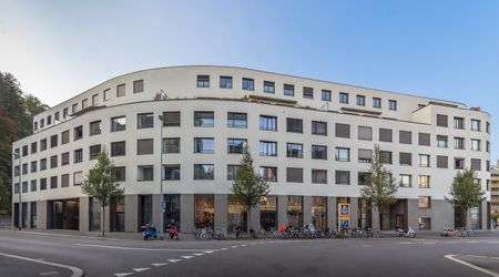 Wohnung im Bruchquartier - Foto 5