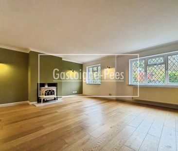 Honeysuckle Lane, Headley Down - Photo 2