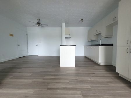 Logement 3 ½ entièrement rénové – Sherbrooke Secteur Université et Mont-Bellevue - Photo 4