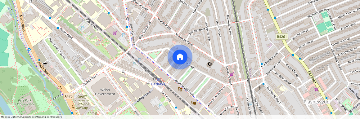 Llandough Street, CF24 4AW, Cathays