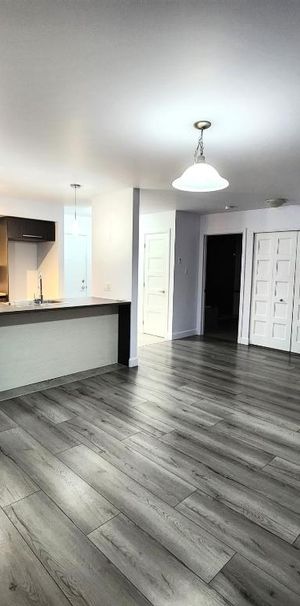 **APPARTEMENT**3 ½ **Boul. Bastien, près des Galeries de la Capitale - Photo 1