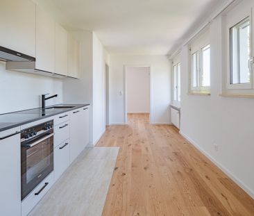 1. Miete geschenkt! Frisch sanierte Wohnung in ruhiger Lage - Foto 2