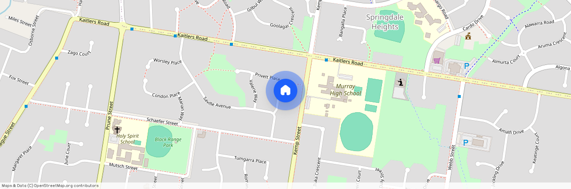 16 Privett Place, NSW 2641, Lavington