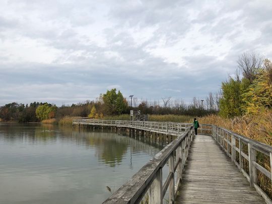 For Lease - 27 Palace Street, Thorold, Ontario - Photo 1