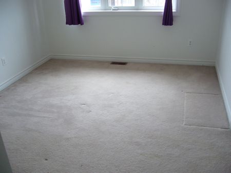For Lease - 24 Hammersly Boulevard, Markham, Ontario - Photo 3