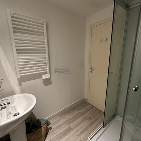 Location Appartement 1 pièce Meublé 19m² BLOIS 41000 - Photo 4