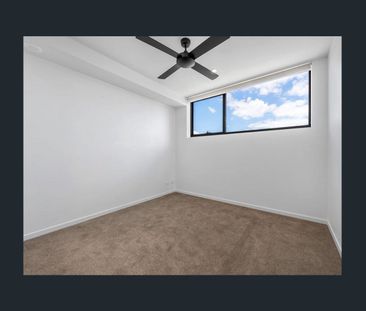 Elevated Living in the Heart of Stones Corner - Photo 2