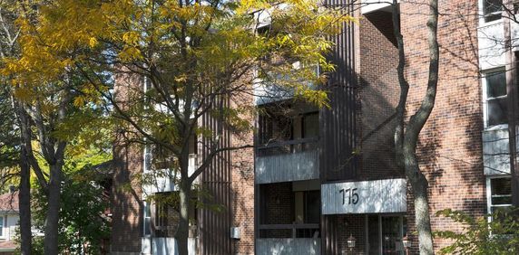 3 1/2 Ste-Foy - Tout inclus - près du cégep Garneau - décembre - Photo 2