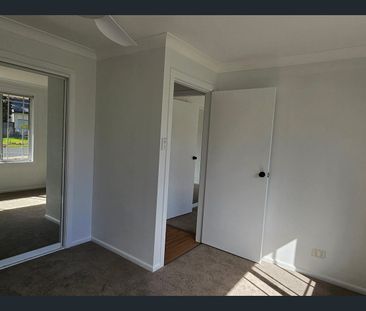 Freshly Renovated Beauty - Photo 3