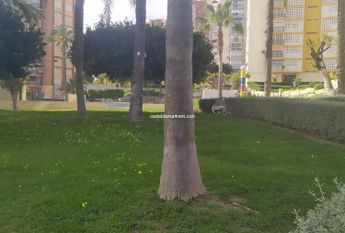 Apartment Benidorm Poniente Winter /Summer Let