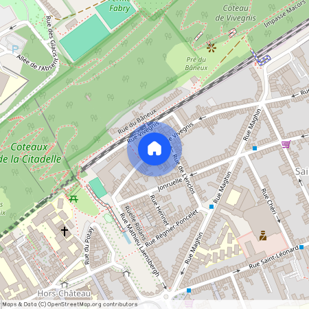 Rue Vivegnis, 28, 4000, Liège