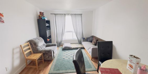 Immeuble - 475 7e Avenue 4 1/2 à Louer - Photo 3