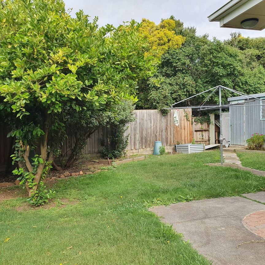 18 Lauer Street, Doncaster - Photo 1