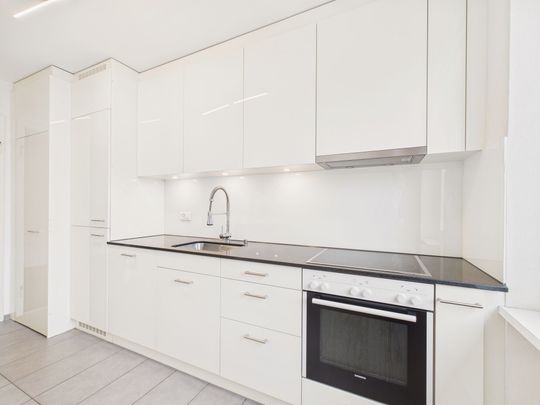 Attractive and very large 173m2 duplex apartment in Allschwil, BL - 24 months limited until the end of 2027 - Photo 1