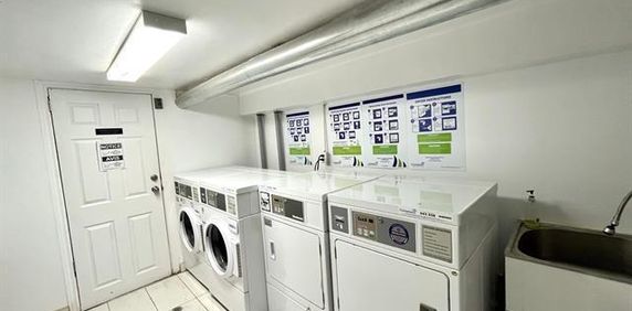 Studio 1 1/2 à louer - Photo 2