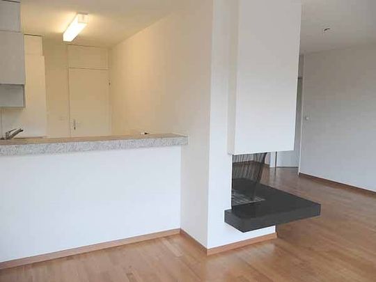 2.5 Zimmer, 56 m², 1. Stock - Photo 1