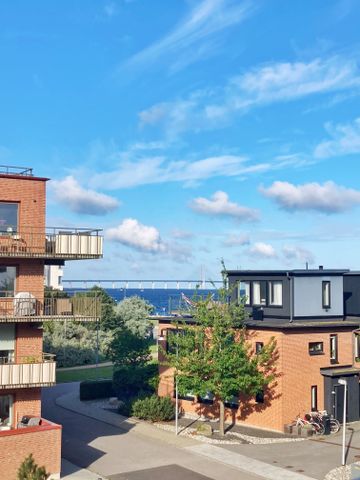 Lotshusgatan, Limhamn - Photo 4