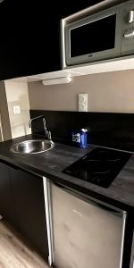 Location Appartement 1 pièce 17m² ST ETIENNE 42100 - Photo 3