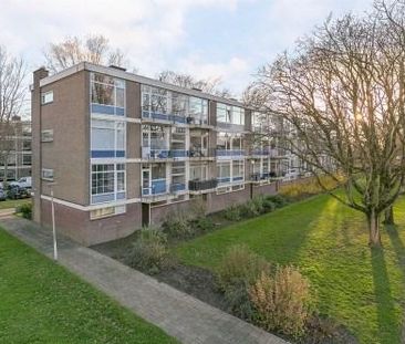 Schoonegge 0ong, 3085 Rotterdam, Nederland - Foto 1