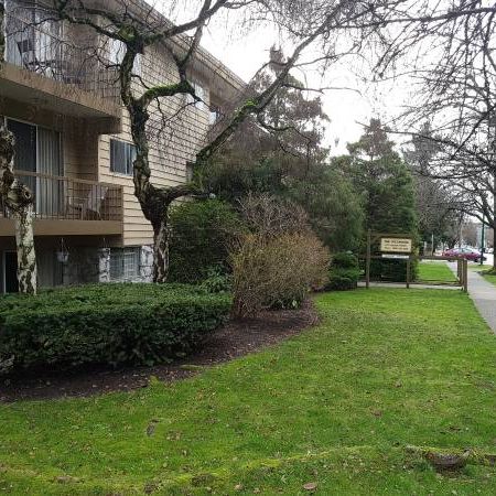 Large One Bed near Marpole Loop Available March 1st or earlier - Photo 3