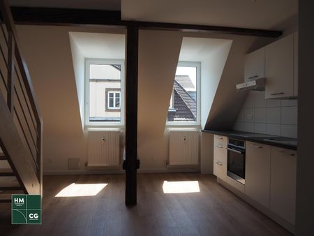 Location Appartement 2 pièces 51m² STRASBOURG 67000 - Photo 2