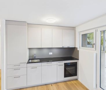 2.5 Zimmer, 50 m², 1. Stock - Photo 1