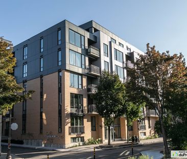 175 rue St-Vallier Est, Saint-Roch à louer - Photo 6