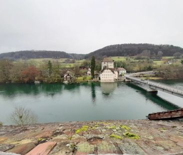 Emplacement idéal, directement sur le Rhin et la frontière avec l’A... - Photo 2