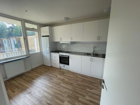 Pionvägen, Gusum - Foto 3