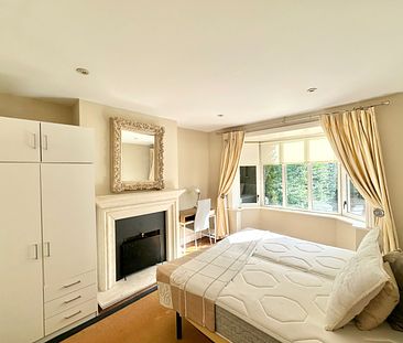 Three beautiful double bedrooms luxury appointed, to rent in an opulent house in Blackrock. - Photo 3
